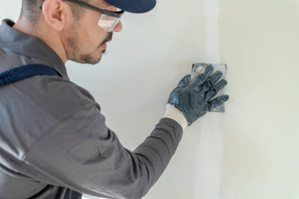 Best Touch-Up Painting  in National City, CA