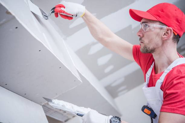 Best Commercial Painting  in National City, CA